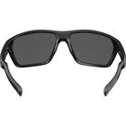 TERRUS, Black Shiny-TNS, hi-res image number null